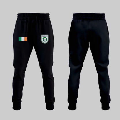 Ireland 2025 Limited Edition Dublin Game Hoodie-ND092625109